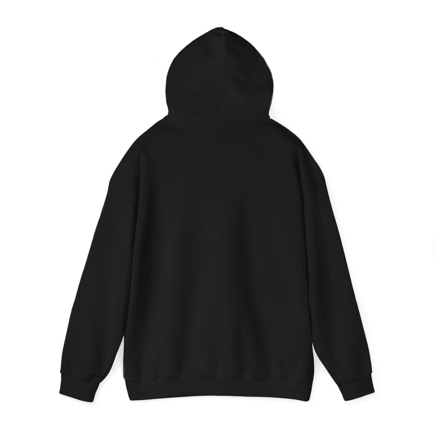 Demure  Hooded Sweatshirt, tik tok trend shirts for teens and women back to school, birthday and Christmas